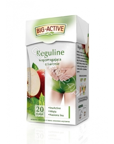 BIO-ACTIVE Big-active reguline herbata wspomagająca trawienie x 20 sasz