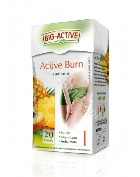 BIO-ACTIVE Big-active spalanie active burn x 20 sasz