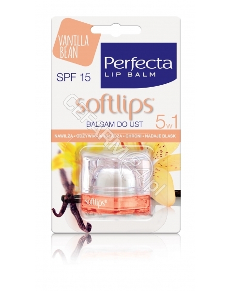 DAX COSMETICS Dax Cosmetics Perfecta Softlips waniliowy balsam do ust 6,5 g