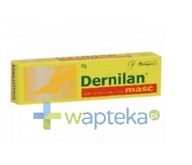 HERBAPOL WRO Dernilan maść 35 g