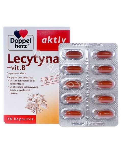 QUEISSER Doppel herz activ lecytyna+vit.b x 30 kaps