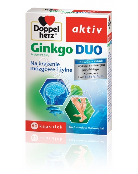 QUEISSER Doppel herz aktiv ginkgo duo x 60 kaps