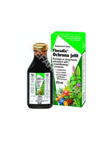 SALUS-HAUS Floradix ochrona jelit tonik 250 ml