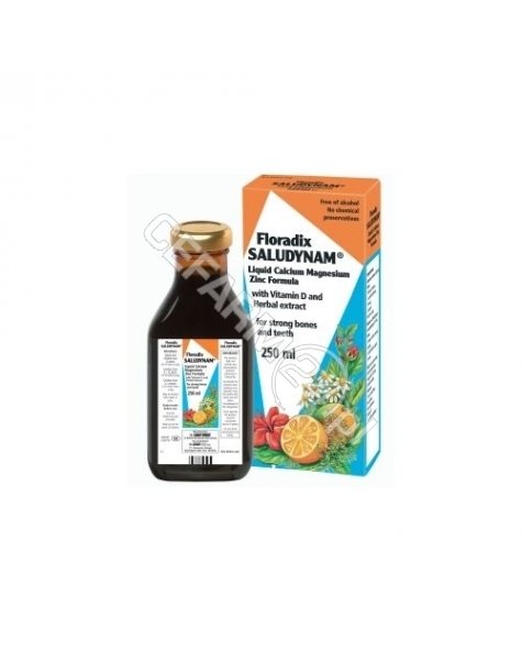 SALUS INTERN Floradix saludynam tonik 250 ml