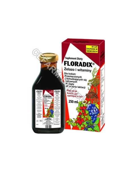 SALUS-HAUS Floradix żelazo i witaminy tonik 250 ml