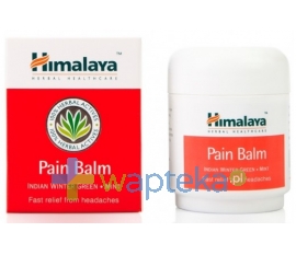 LBIOTICA HIMALAYA Balsam kojący Pain Balm 50 ml