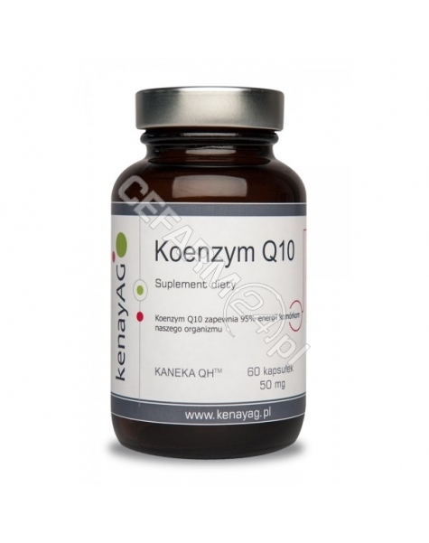 KENAY Koenzym q10 x 60 kaps (Kenay AG)