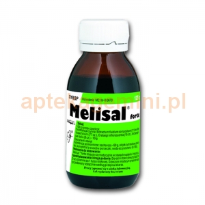 HERBAPOL WROCŁAW Melisal Forte, syrop, 125g