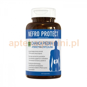 A-Z MEDICA Nefro Protect, 60 kapsułek