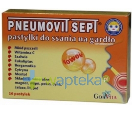 GORVITA PPHU Pneumovit Sept 16 pastylek