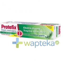 QUEISSER PHARMA GMBH & CO. Protefix krem mocujacy z aloesem 40 ml