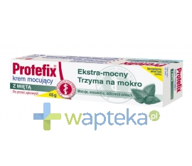 QUEISSER PHARMA GMBH & CO. Protefix krem mocujacy z miętą 45 g