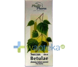 PHYTOPHARM KLĘKA S.A. Succus Betulae płyn doustny 100 ml