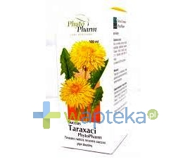 PHYTOPHARM KLĘKA S.A. Succus Taraxaci płyn doustny 100 g